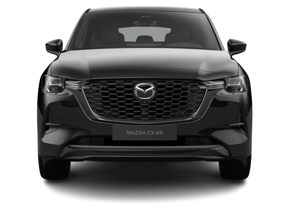 Auto Abo Foto Nummer 4 von 5